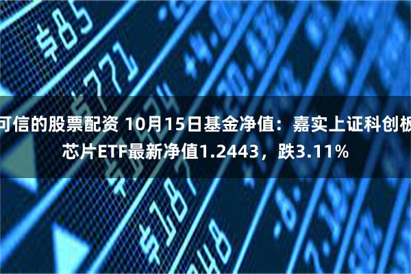可信的股票配资 10月15日基金净值：嘉实上证科创板芯片ETF最新净值1.2443，跌3.11%