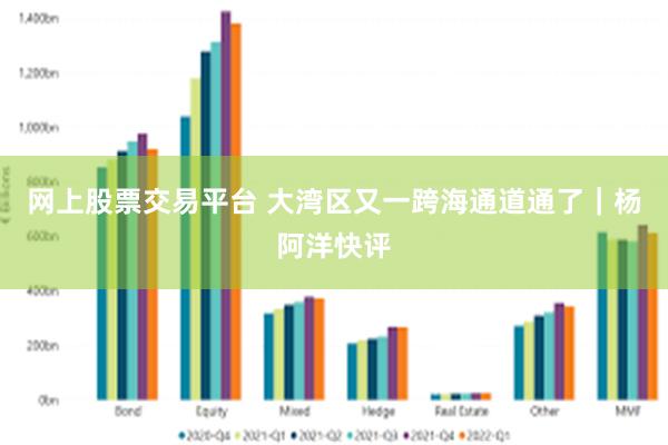 网上股票交易平台 大湾区又一跨海通道通了｜杨阿洋快评