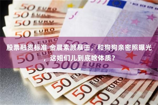 股票融资标准 金晨素颜暴击，和狗狗亲密照曝光，这姐们儿到底啥体质？