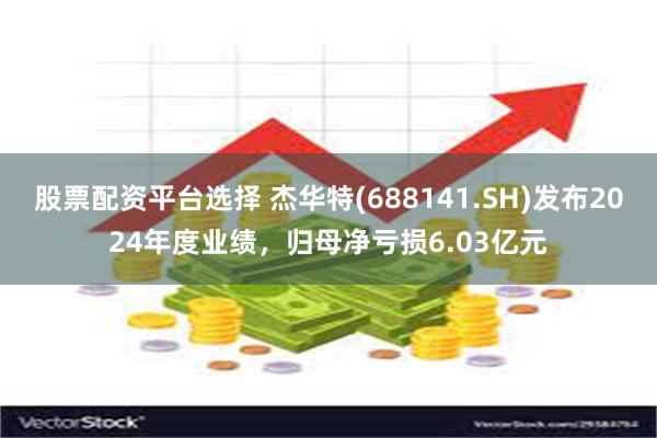 股票配资平台选择 杰华特(688141.SH)发布2024年度业绩，归母净亏损6.03亿元